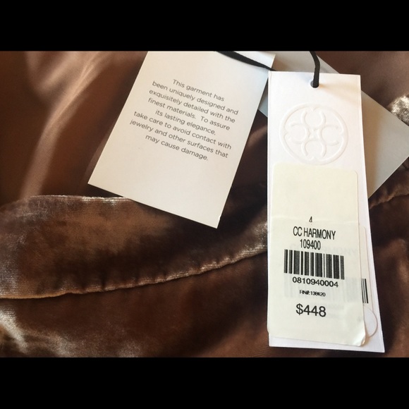 CARLISLE Collection Harmony Velvet Pants - Picture 12 of 12